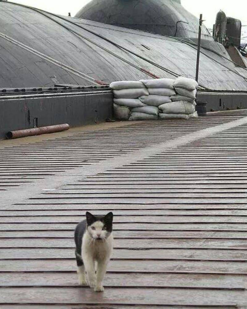 Twitter.com/obed_ruthanto